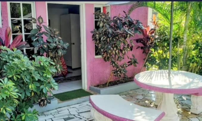Pink Hibiscus Bed And Breakfast Montego Bay Exterior foto
